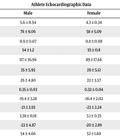 Multidiscip Cardio Annal